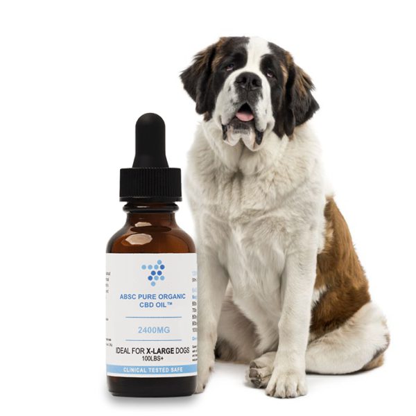 CBD For Dogs By Abscorganics-The Ultimate Guide to CBD Products for Dogs - Comprehensive Review